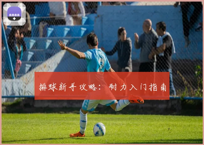 排球新手攻略：耐力入门指南