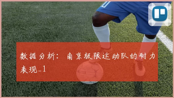 数据分析：南京极限运动队的耐力表现_1