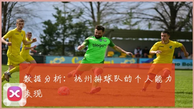 数据分析：杭州排球队的个人能力表现