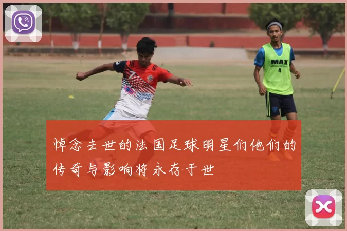 悼念去世的法国足球明星们他们的传奇与影响将永存于世