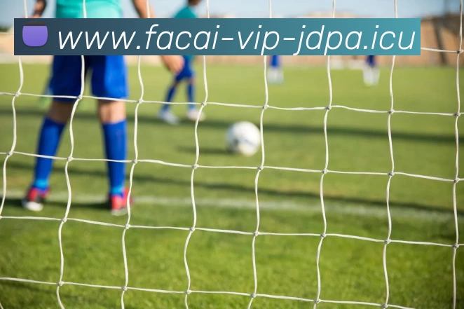 乐鱼体育发展历程